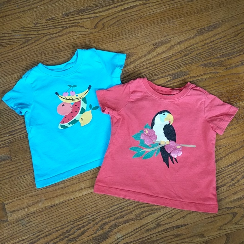 Hanna Andersson 2 tee shirts, 90 cm (US 3T)